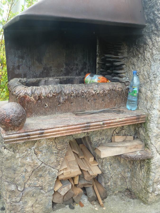 U Olgi Hotel Truskavets Luaran gambar